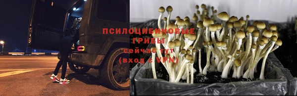 МДПВ Покачи