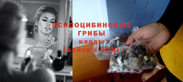 apvp Алексин