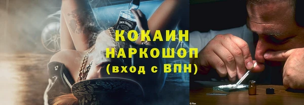стаф Алзамай