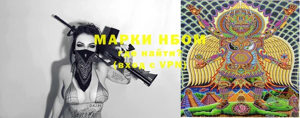 стаф Алзамай