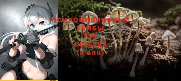 сатива Абинск