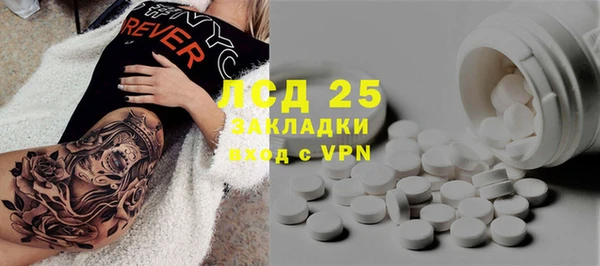 стаф Алзамай