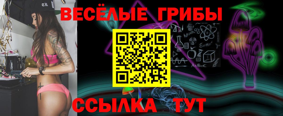 Псилоцибиновые грибы MAGIC MUSHROOMS  наркота  Красноуфимск  Псилоцибиновые грибы MAGIC MUSHROOMS  Вход с VPN 